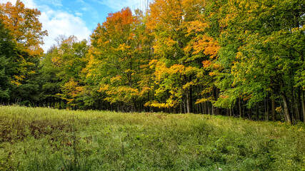 Taste of Fall from the Upper Peninsula of Michigan