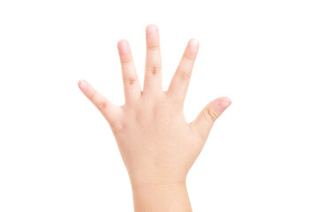 Boy's hand shown five finger symbol on isolated white background for graphic designer.