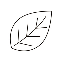 leaf plant ecology line style icon