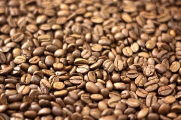 coffee beans background