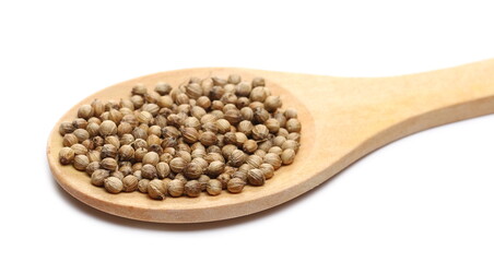 Coriander seeds pile with wooden spoon isolated on white background