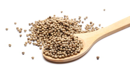 Coriander seeds pile with wooden spoon isolated on white background
