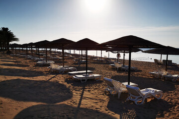 beach in the egypt