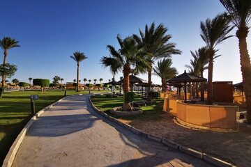 beach in the egypt