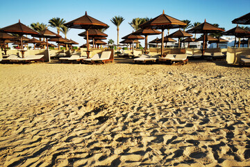 beach in the egypt