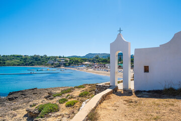 Pothos marble queen houseplant in shiny golden plant pot on a white background