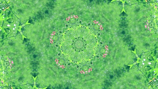 Abstract mandala greenery background. Green leaves and flowers kaleidoscope video effect