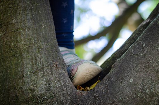 Kinderfu&szlig; beim Klettern auf einen Baum