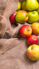 A bunch of red and green apples in a bag on a black and white background,close-up,background,Wallpaper,postcard,advertising