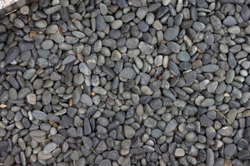 Gravel / pebbles texture.  white stone
