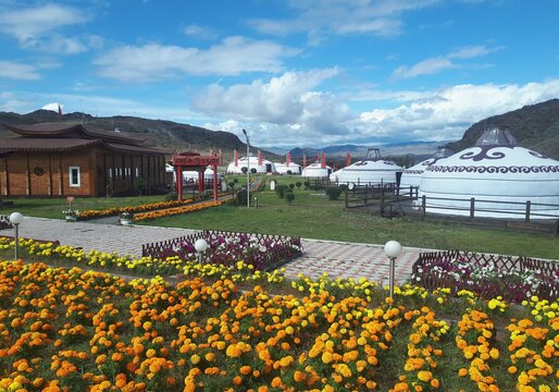 View of a nomadic camp Aldyn-Bulak and white yurts. Indigenous life and home, Indigenous cultural practices in Kyzyl (Tyva/Tuva Republic), Russia, Asia. 