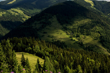 Wonderful mountain landscape. Green mountain slopes with fir trees and sunny glades. View from above.