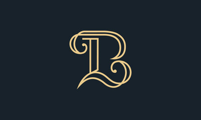 Creative Vector Illustration Logo Design. Initial Line Letter B, Letter T, and Letter i Concept.