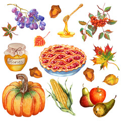 Thanksgiving set. Pumpkin, cherry pie, apples and pears, corn, grapes, honey, rowan, acorns and leaves. Watercolor illustration isolated on white background. Hand-drawn.