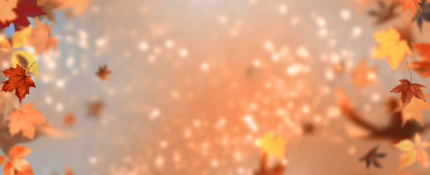 Herbstliches Banner mit flatterndem Herbstlaub vor unscharfem Hintergrund und Lichtpunkten