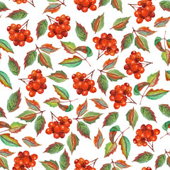 Autumn seamless pattern with rowan berries and leaves. Watercolor illustration isolated on white background. Drawn by hand.