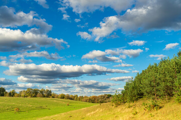 Landscape view at the edge of pine forest with beautiful sky and meadows