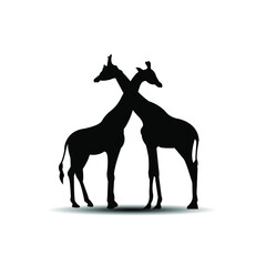 Vector silhouette of Giraffe lovers isolated  on white background. Vector illustration EPS 10.