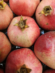 group of fruit and vegetables in autumn season