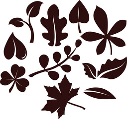 Different types Of Pattern With Autumn Leaves Icon Set.