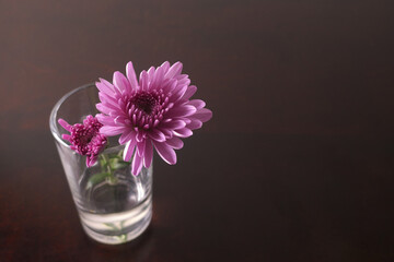 テーブルの上のガラスのコップに挿したピンクの菊の花