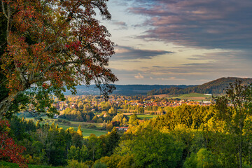 Fototapeta premium beautiful autumn hike in the colorful forest near wilhelmsdorf