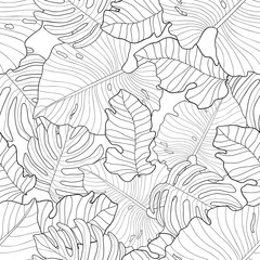 Hand drawn black leaves of monstera, palm and other plants on white background. Seamless tropical floral pattern. Suitable for coloring book ,wallpaper, textile, packaging.