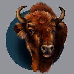 digital drawing of a bison head on a gray background