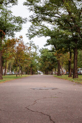 quiet deserted park in the fall in cloudy weather in the city center