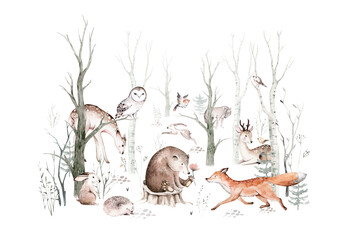 Fototapety  Zestaw zwierząt leśnych. Sowa, Jeż, lis i motyl, Bunny Rabbit zestaw wiewiórki leśnej i wiewiórki, niedźwiedź i ptak Baby Animal, skandynawski przedszkola wilk akwarela projekt plakatu dla dzieci