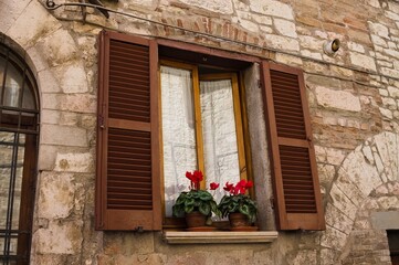 A window with brown wooden shutters and white curtains with red flowers outside (Gubbio, Umbria, Italy, Europe)