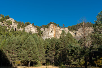 Vertical cliffs over the pine tree forest