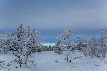 Winter landscape in Nuorgam, Lapland, Finland