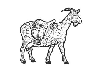 saddle goat sketch raster illustration