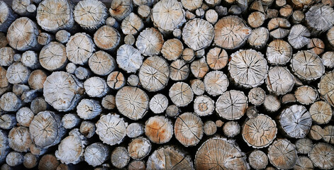 old firewood texture