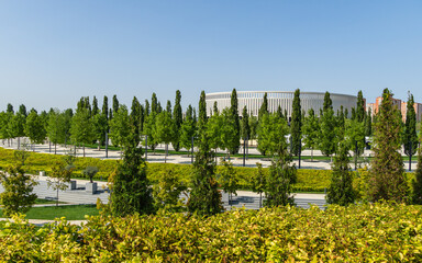 Landscape with trimmed golden Ninebark shrub and rows of Thuja plicata on Stadium Krasnodar...