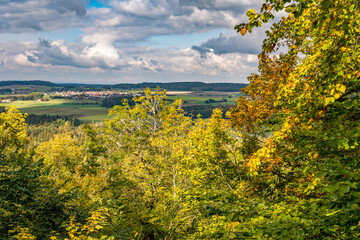 beautiful autumn hike in the colorful forest near wilhelmsdorf