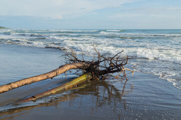 Fototapeta premium beach in costa rica