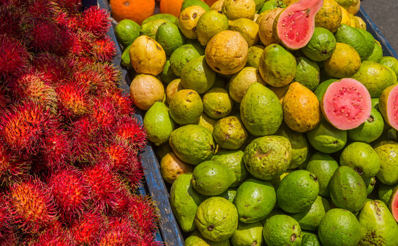 Pile of jocote fruits