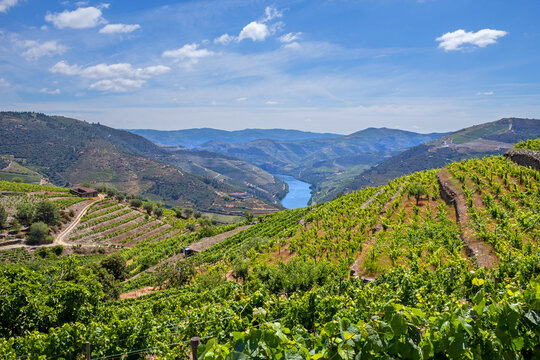 Douro Valley landscape