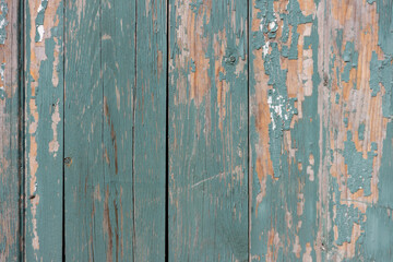 Fototapeta na wymiar The surface of old wooden planks with peeling green paint.