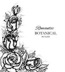 modern, monochrome bouquet of rose blades of grass. Flower arrangement hand - drawn, isolated on a white background. background, Wallpaper with space for text. sects, sketch in vintage style. © dezignstock