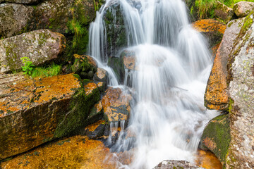 Fototapeta na wymiar Wild Forest Waterfall