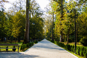 Fototapeta na wymiar Garden and park, Zugdidi Botanic garden