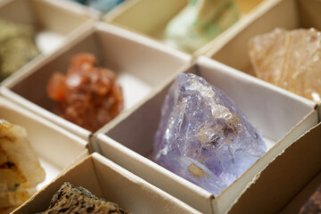 Collection of minerals