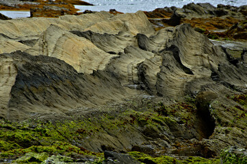 斜めに隆起した地層の磯