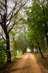Mglisty jesienny dzień w Dolinie Narwi, Podlasie, Polska