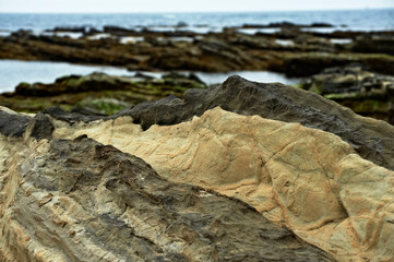 恐竜の背中の様な磯の岩