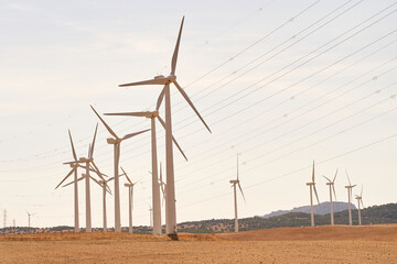 Wind turbines producing electricity in the field. Concept of renewable energies. Cadiz, Spain.