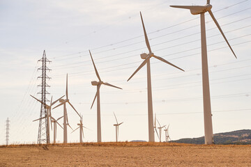 Wind turbine line producing electricity in the field. Concept of renewable energies. Cadiz, Spain.